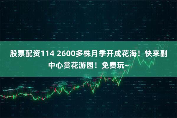 股票配资114 2600多株月季开成花海！快来副中心赏花游园！免费玩~