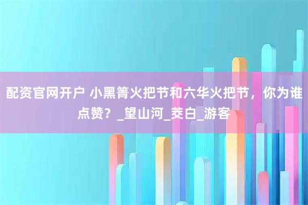 配资官网开户 小黑箐火把节和六华火把节，你为谁点赞？_望山河_茭白_游客