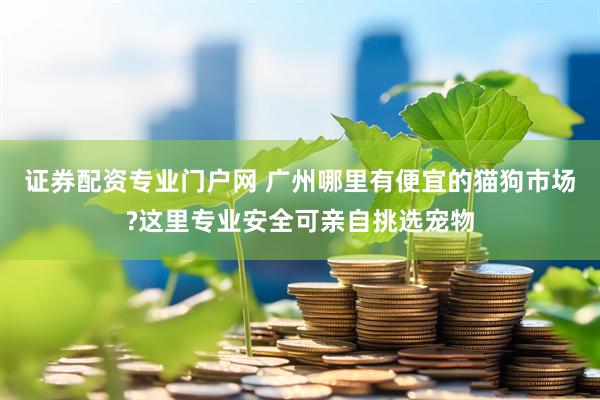 证券配资专业门户网 广州哪里有便宜的猫狗市场?这里专业安全可亲自挑选宠物