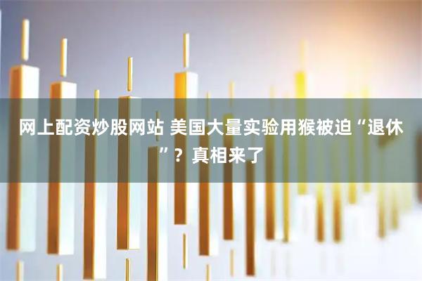 网上配资炒股网站 美国大量实验用猴被迫“退休”？真相来了